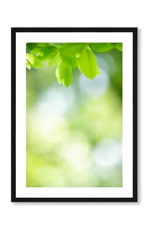 Nature of green leaf in garden at summer. Natural green leaves plants using as spring background cover page greenery environment ecology wallpaper