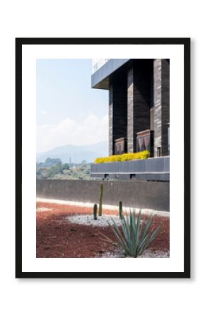 Contemporary architecture over red volcanic soil with agaves in Ciudad de Mexico, composition ideal for themes of resilience, design contrast, ecology and desert landscaping
