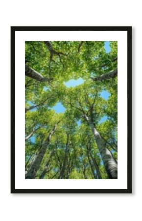 Green trees with blue skies, useful for nature and ecology articles.
