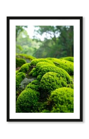 Lush green moss clumps on rocks, forest background