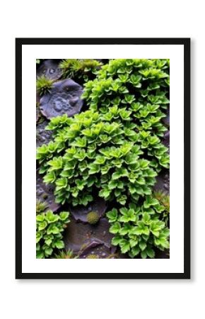 Emerald moss thrives on a damp, textured wall, creating a vibrant, natural tapestry, wilderness, damp, brick