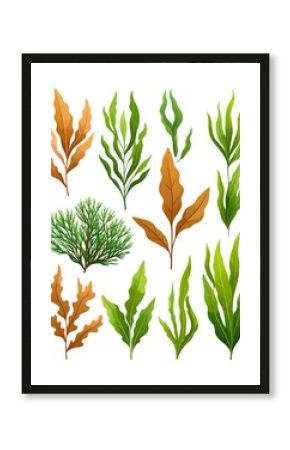 Colorful collection of seaweed illustrations on a white background