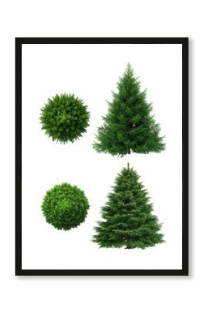 green spruce tree isolated on a transparent background