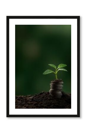 Green plant sprout growing from soil with light, ecology and sustainable energy concept, hope and future background, vertical 9:16 background for social media stories