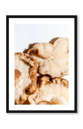Mushrooms