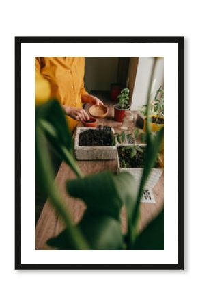 Woman planting tomato seeds in a flower pot