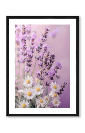 Lavender and chamomile flowers create soothing herbal composition, showcasing delicate purple and white blooms. This serene arrangement evokes sense of calm and tranquility