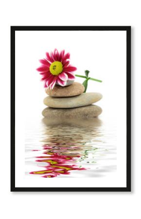 zen spa stones with flowers