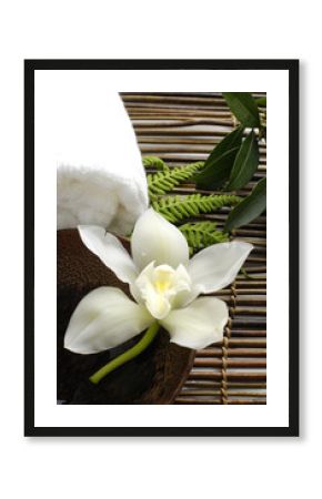 White orchid in a spa