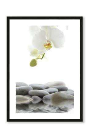 Reflection for spa still life