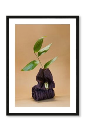 Unique plant arrangement featuring green leaves emerging from a sock