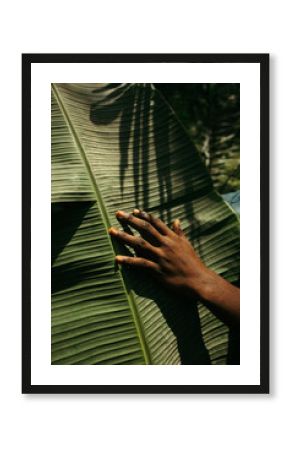 Closeup portrait of a black nature activist touching a plant 