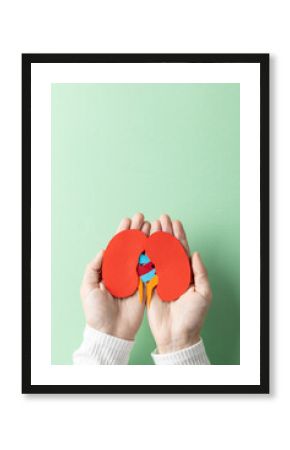 Vertical composition of hands holding kidneys on green background with copy space