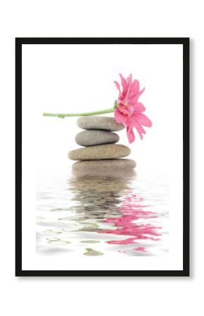 zen / spa stones with flowers