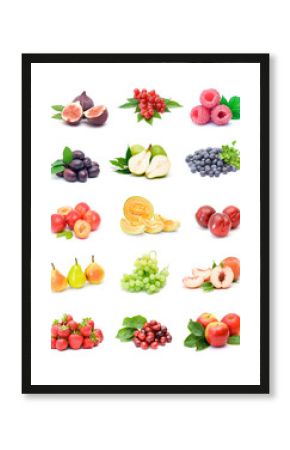 fruit collection