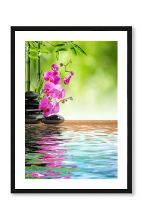 pink orchid black stone and bamboo on water