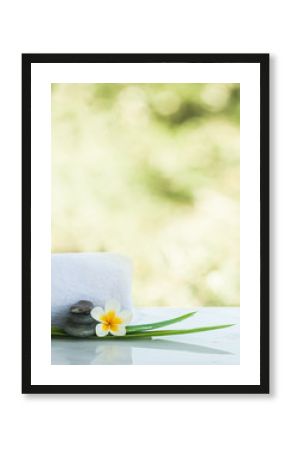 Flower and stones for massage treatment on white light background.