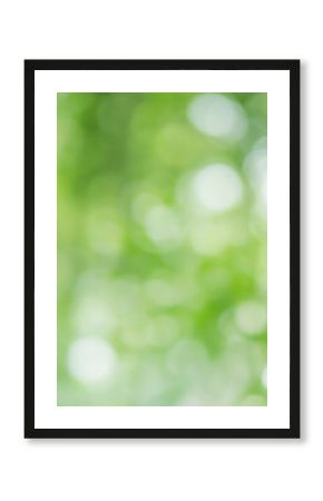 木漏れ日の様子。爽やかな光の風景。