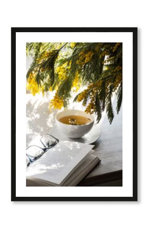 Bouquet of yellow mimosa flowers on the background of a window illuminated by the sun.