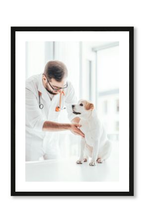 Labrador dog with veterinarian during health checkup for pet care and clinic exam