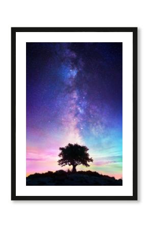 Starry Night  - Lonely Tree With Milky Way