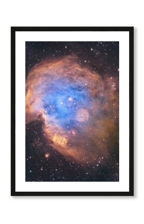 The Monkey head nebula