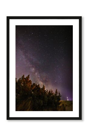 Milky Way shining above silhouette of trees