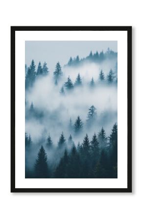 beautiful pine forest in the fog with copy space for text