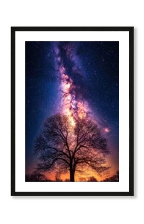 Milky Way over tree, night sky, field, landscape, astrophotography