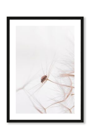 Ladybug on a fluffy dandelion, set against a bright background, emphasizing the intricate details of the garden. Copy space for text