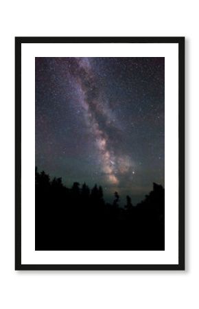 The Milky Way Over The Forest