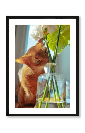 Curious cat investigates flowers in a sunny indoor space