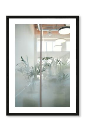 Potted green plants standing behind frosted glass wall in modern office space with large round ceiling lights and exposed ductwork visible through translucent surface
