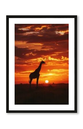Beautiful Sunrise with animals in the safari