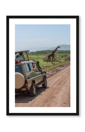 Masai giraffe crossing dirt track past jeep