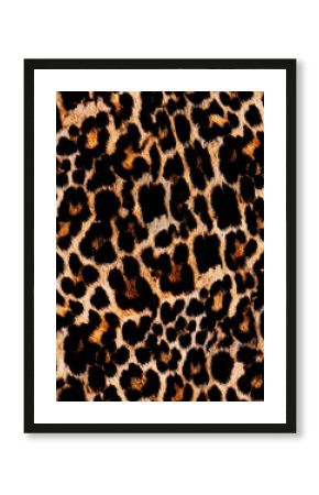 spotted animalier texture