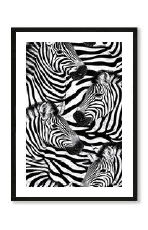 Zebras Pattern, African Safari, Wildlife