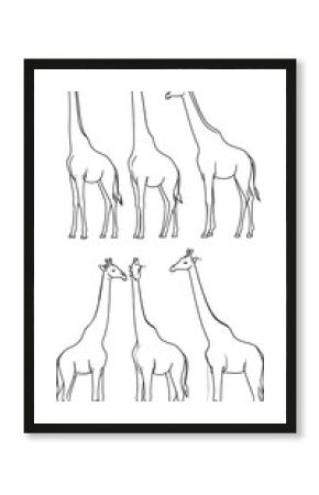 Line drawings of six giraffes in various poses, showcasing their long necks and legs