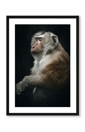 Underwater Wildlife World