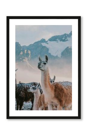 Underwater Wildlife World