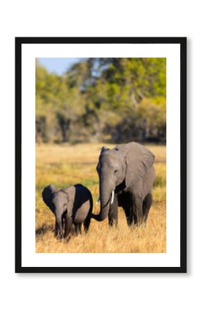 Elephant mother with calf in savanna.
