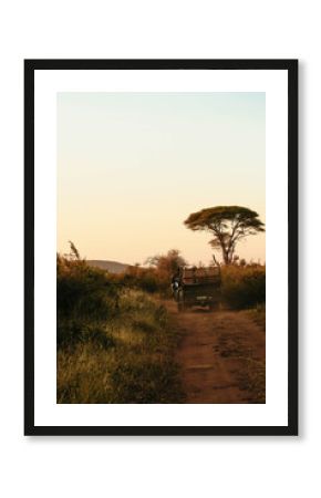 safari vehicle in madikwe, south africa