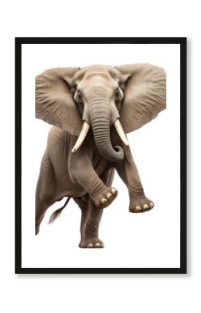 PNG Happy smiling elephant dancing wildlife animal mammal.