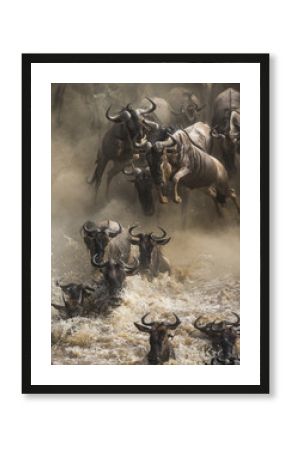 Wildebeests are crossing Mara river. Great Migration. Kenya. Tanzania. Masai Mara National Park. An excellent illustration.