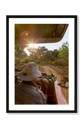 Game ranger driving safari vehicle