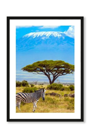 Trip to the Horn of Africa