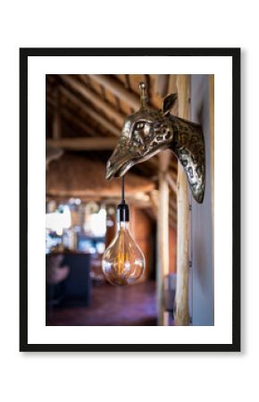 Eindrücke im Damaraland