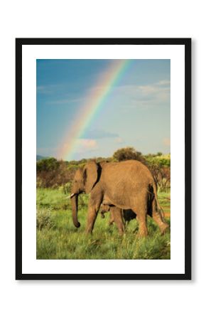 Elephant Family Under a Vibrant Rainbow in African Wilderness