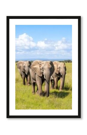 African Elephant Family Savanna Landscape