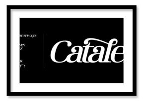 Elegant Italic Font Uppercase Lowercase and Number. Classic Lettering Minimal Fashion Designs. Typography modern serif fonts regular decorative vintage concept. vector illustration